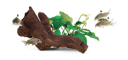 Aquavitro Ceramic Hide Model B2 Tropical Treasures Wyo LLC