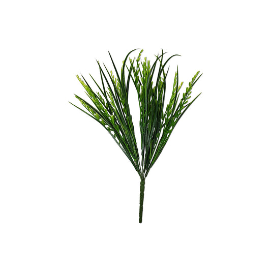 15" Mountain Grass / Iva Axillaris Bush