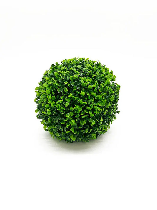 8-inch Boxwood Ball used as aquarium décor providing shelter for fish and shrimp