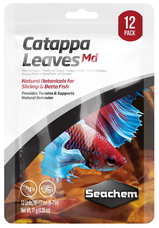 Catappa leaves medium aquarium botanical