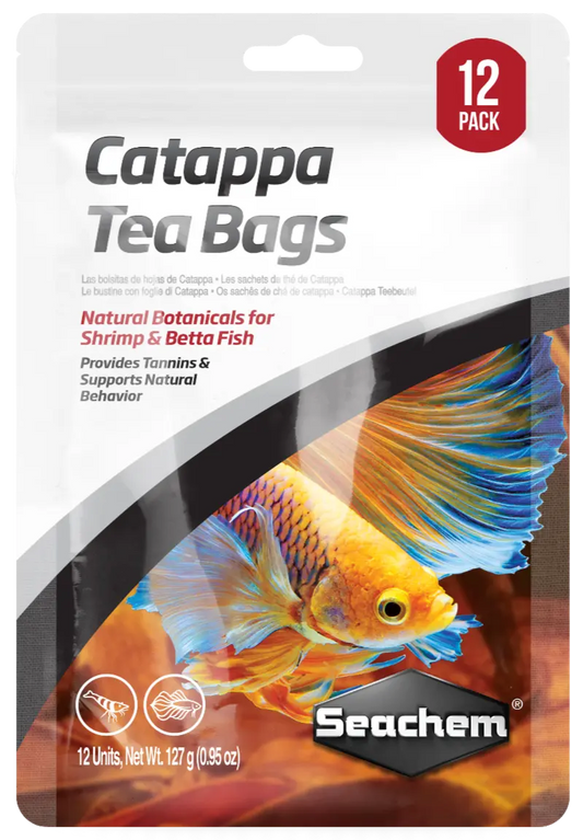 Catappa tea bags aquarium blackwater