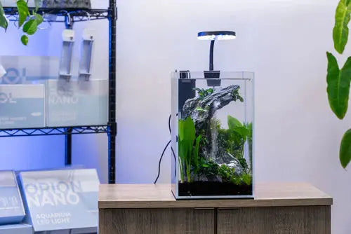 aquascaping waterfall nano aquarium