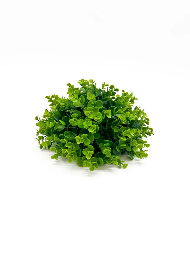 Aquarium-safe 8″ Eucalyptus Grass Ball providing shelter for shrimp and fry