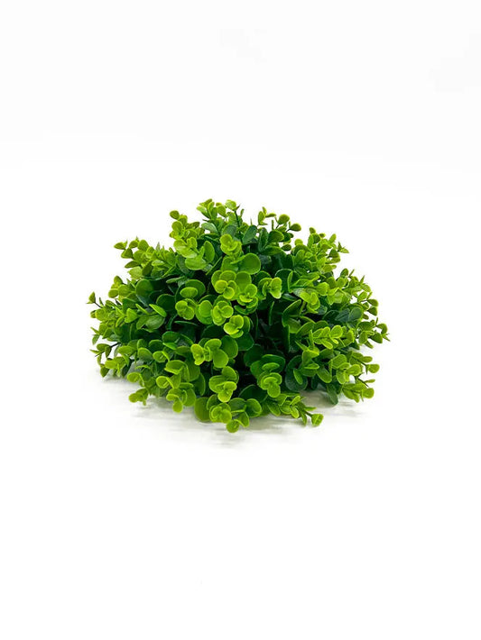 Aquarium-safe 8″ Eucalyptus Grass Ball providing shelter for shrimp and fry
