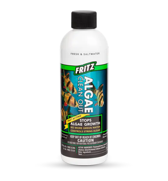 Fritz Algae Clean Out 8oz aquarium algae control solution for managing unwanted algae growth in freshwater tanks