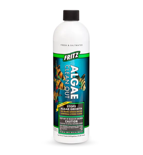 Fritz Algae Clean Out 16oz aquarium algae control treatment for reducing nuisance algae in freshwater aquariums