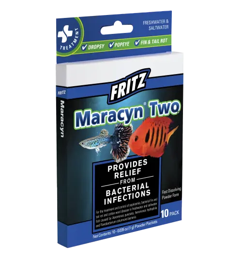 Fritz Maracyn 2 10 count antibiotic fish medication for treating bacterial infections in freshwater aquariums