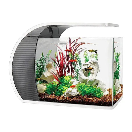 Hygger 5-Gallon Arc-Shaped Aquarium Kit Tropical Treasures Wyo