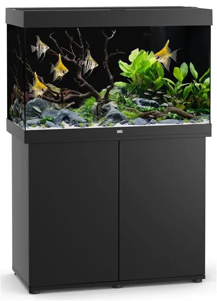 Juwel Rio 290 Black Aquarium & Cabinet Combo with LED lighting, built-in filtration, and matching black stand, ideal for freshwater fish, planted aquariums, and cichlid setups.