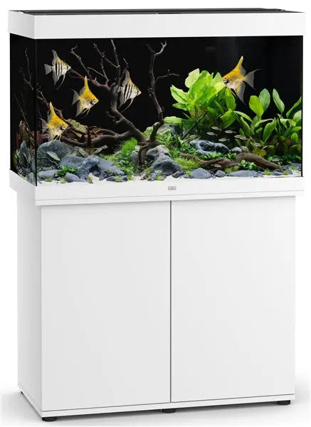 Juwel Rio 290 White Aquarium & Cabinet Combo with integrated LED lighting, built-in filtration, and matching white stand for freshwater fish, planted aquariums, and cichlid setups.