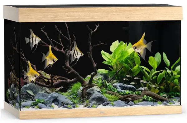 Juwel Rio 290 LED Aquarium System Light Wood featuring integrated LED lighting, advanced filtration, and elegant light wood cabinet for freshwater fish and planted aquariums.