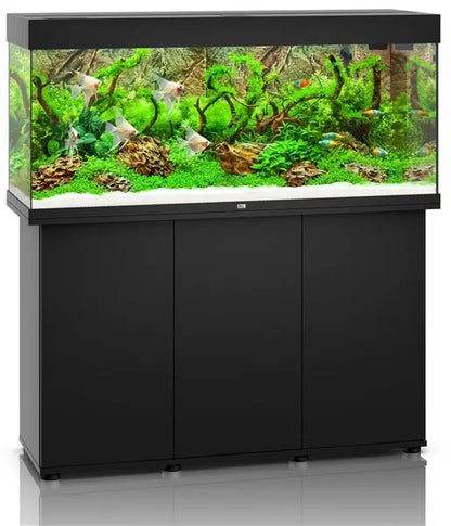Juwel Rio 240 Black Aquarium & Cabinet Combo featuring integrated LED lighting, advanced filtration, and matching black stand for freshwater fish, planted aquariums, and cichlid setups.