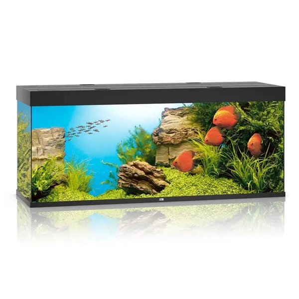 Juwel Rio 450 Black Aquarium and Cabinet Combo featuring a 120-gallon freshwater aquarium with integrated LED lighting, filtration, and matching black stand.