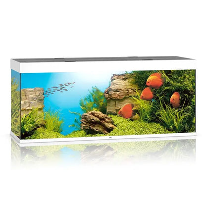Juwel Rio 450 White Aquarium and Cabinet Combo featuring a 120-gallon freshwater aquarium with integrated LED lighting, filtration, and matching white stand.