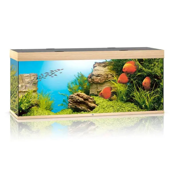 Juwel Rio 450 Light Wood Aquarium and Cabinet Combo featuring a 120-gallon freshwater aquarium with LED lighting, filtration, and matching wood stand.