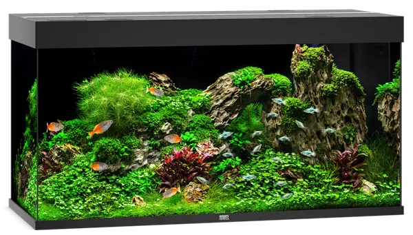 Juwel Rio 350 Black Aquarium & Cabinet Combo with integrated LED lighting, filtration, and matching black stand, ideal for freshwater fish, planted tanks, and cichlid aquariums.