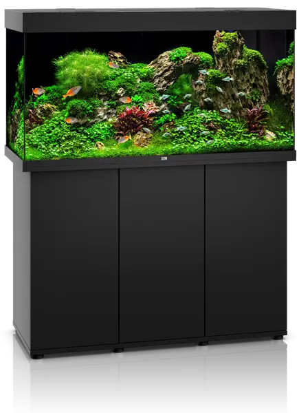 Juwel Rio 350 Black Aquarium & Cabinet Combo with integrated LED lighting, filtration, and matching black stand, ideal for freshwater fish, planted tanks, and cichlid aquariums.