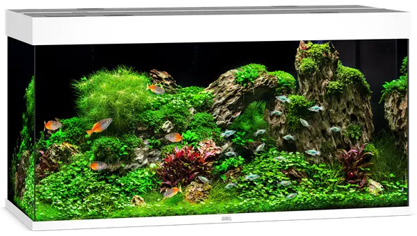Juwel Rio 350 White Aquarium & Cabinet Combo with integrated LED lighting, built-in filtration, and matching white stand for freshwater fish, planted aquariums, and cichlid setups.