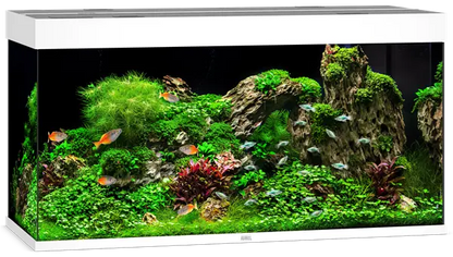 Juwel Rio 350 White Aquarium & Cabinet Combo with integrated LED lighting, built-in filtration, and matching white stand for freshwater fish, planted aquariums, and cichlid setups.