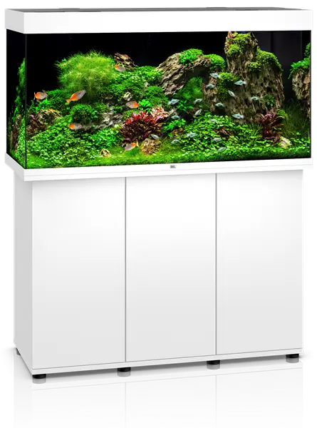 Juwel Rio 350 White Aquarium & Cabinet Combo with integrated LED lighting, built-in filtration, and matching white stand for freshwater fish, planted aquariums, and cichlid setups.