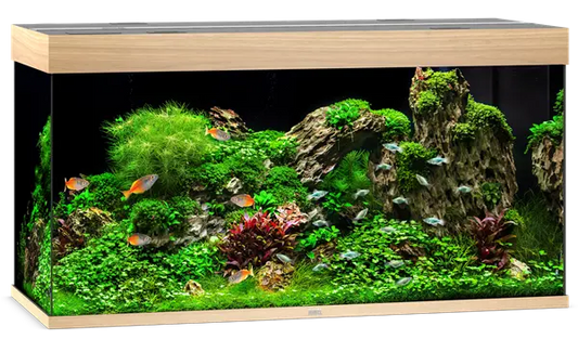 Juwel Rio 350 Light Wood Aquarium & Cabinet Combo with built-in LED lighting, internal filtration system, and matching cabinet for freshwater fish, planted tanks, and large community aquariums.