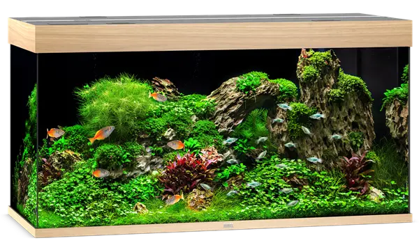 Juwel Rio 350 Light Wood Aquarium & Cabinet Combo with built-in LED lighting, internal filtration system, and matching cabinet for freshwater fish, planted tanks, and large community aquariums.