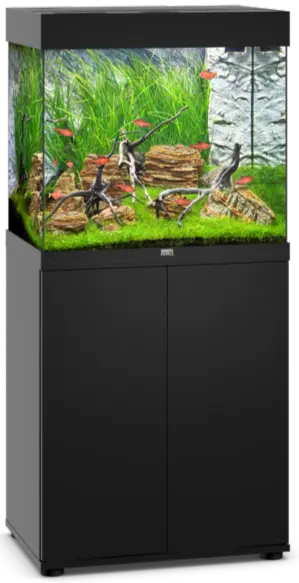 Juwel Lido 120 Black Aquarium & Cabinet Combo featuring integrated MultiLux LED lighting, Bioflow filtration system, and matching black stand for freshwater fish, planted aquariums, shrimp, and aquascaping displays.
