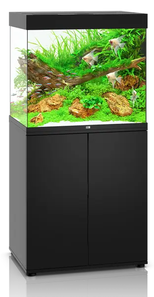 Juwel Lido 200 LED Aquarium System Black featuring integrated MultiLux LED lighting, Bioflow filtration system, and a cube-style design for freshwater fish, planted aquariums, and aquascaping displays.