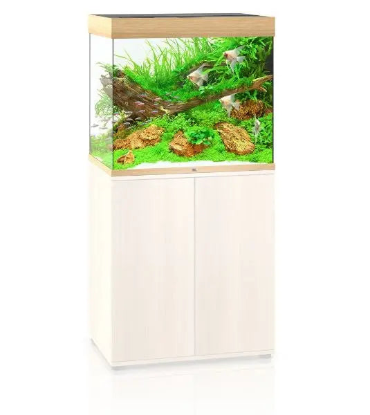 Juwel Lido 200 Light Wood Aquarium & Cabinet Combo featuring integrated LED lighting, Bioflow filtration system, and matching light wood stand for freshwater fish, planted aquariums, and aquascaping displays.