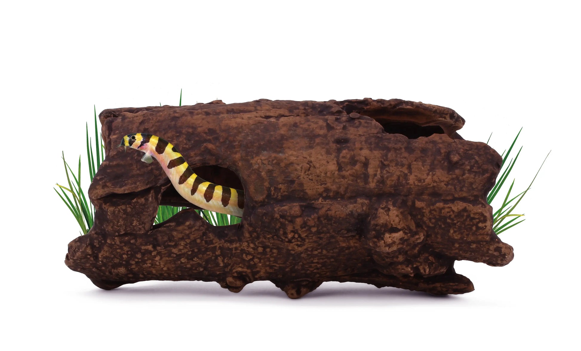 Aquavitro Ceramic Hide Model L2 – wood-style ceramic ornament (6.25×3×3.25 in), safe hiding spot for plecos, shrimp, axolotls, and small terrarium animals