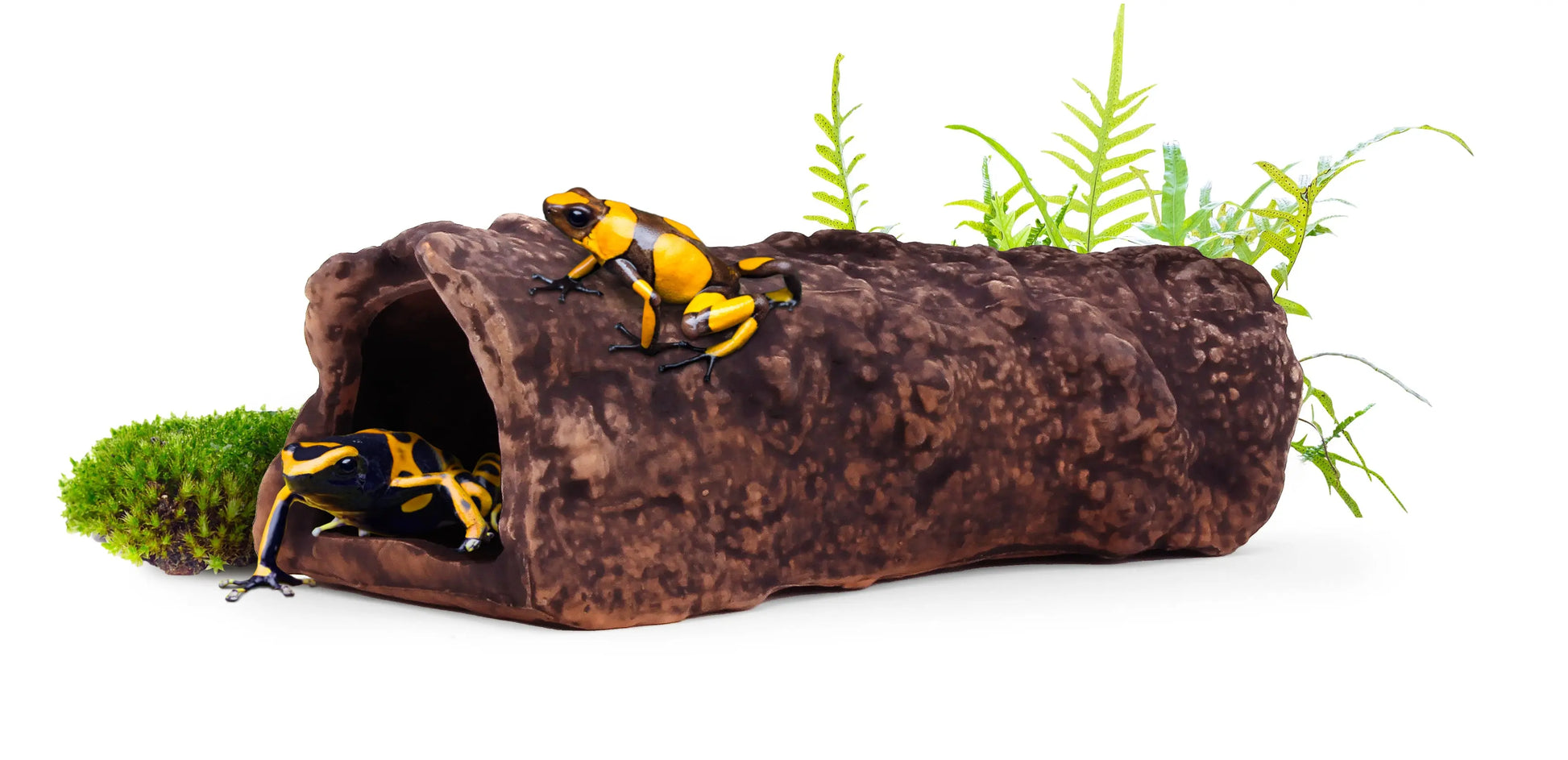 Aquavitro Ceramic Hide Model L4 – realistic wood-textured ceramic hiding spot, 6.75×3×2.25 inches; safe for plecos, shrimp, axolotls, and bottom-dwelling aquatic or terrestrial pets