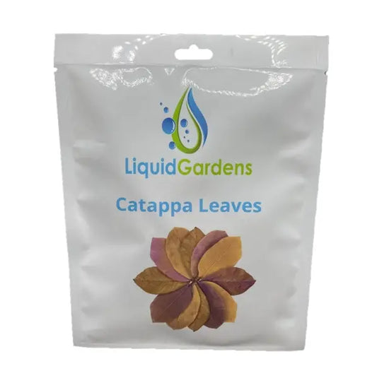 Liquid Gardens Catappa Leaves 10 Pack Tropical Treasures Wyo LLC