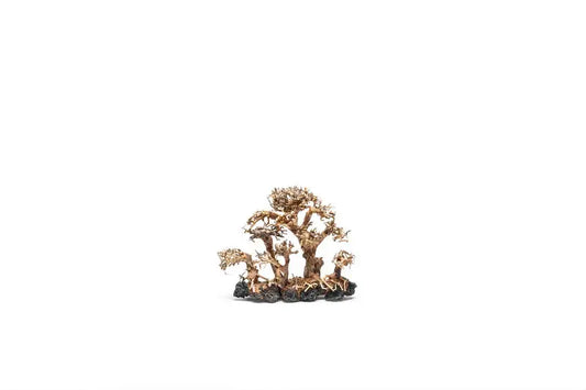 UNS Bonsai 008 aquarium aquascaping wood
