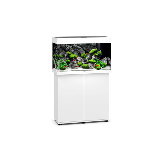 juwel rio 125 33 gallon fish tank