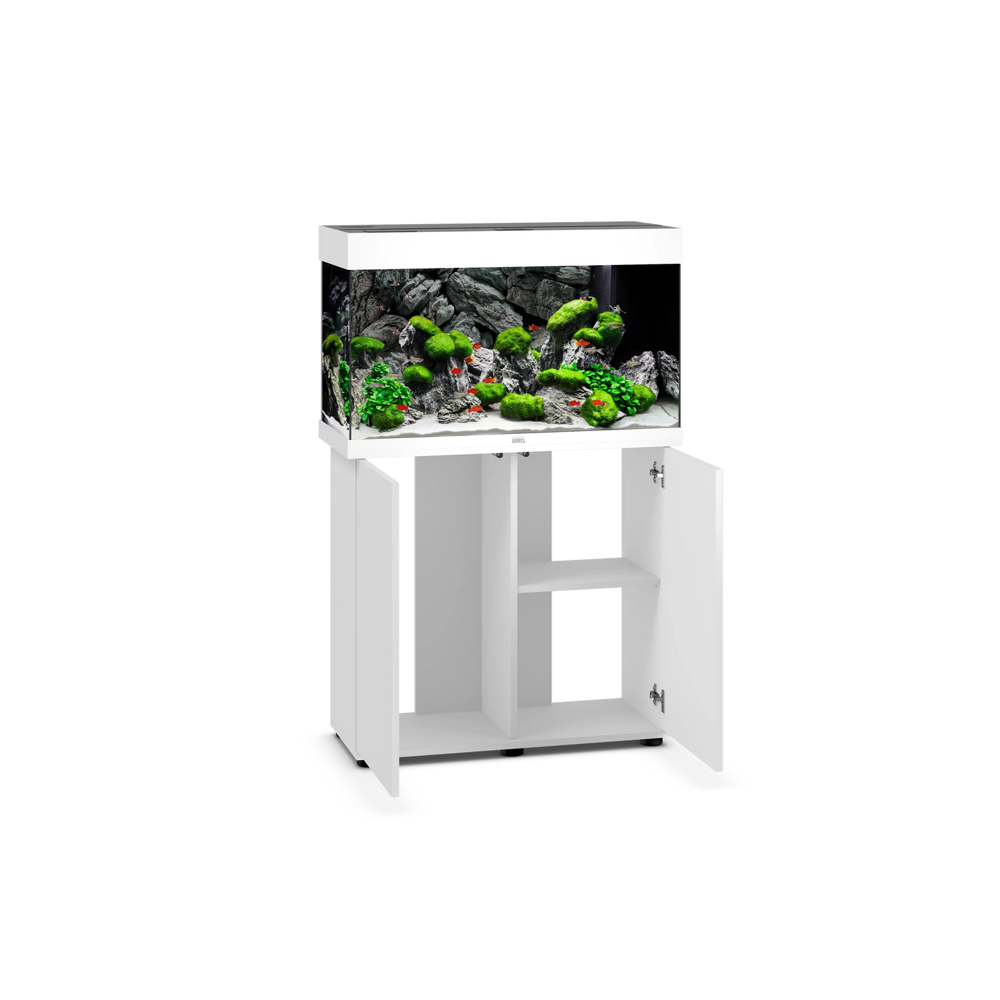 juwel rio 125 33 gallon fish tank