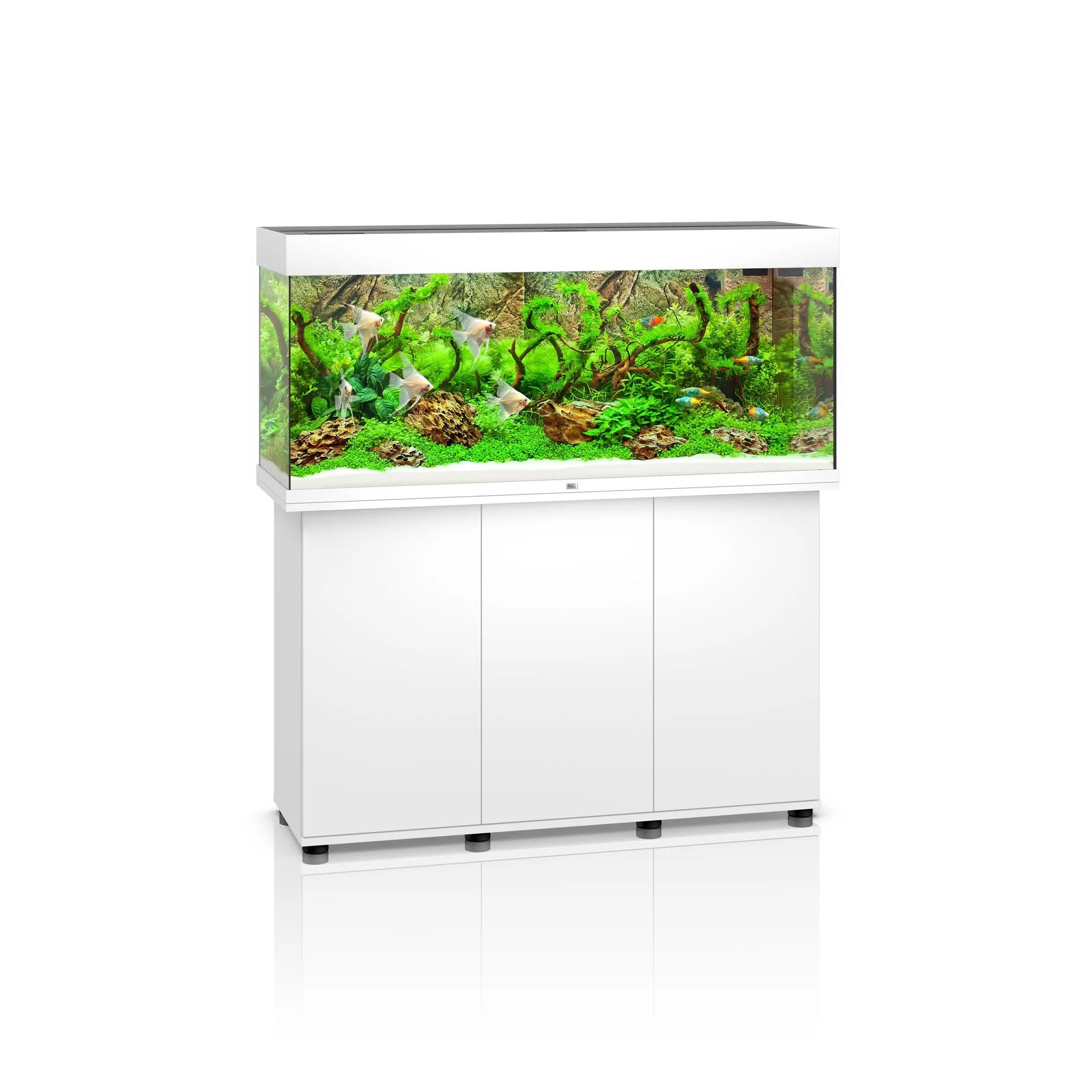 juwel rio 240 planted aquarium tank