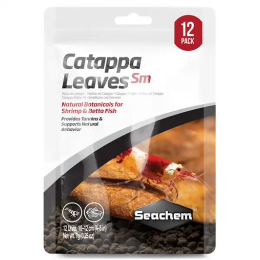 Catappa Leaves Small 12 Pack Indian Almond Leaves for betta tanks, shrimp aquariums, nano tanks, breeding setups, and blackwater aquariums.