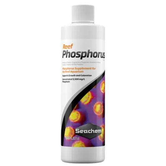 Seachem Reef Phosphorus 250 mL phosphate supplement for reef aquariums