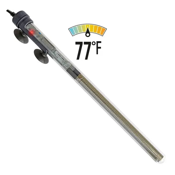 SICCE Scuba Preset 300W submersible aquarium heater with black control cap and suction cups, preset to 77°F