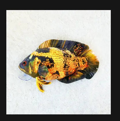 Green Pleco Oscar Fish Lava Jumbo Plushie – large collectible aquarium plush toy