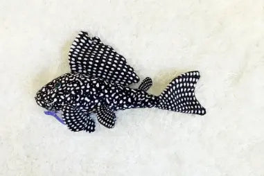 Famous Plecostomus Plush – cute soft plush toy inspired by the pleco fish
