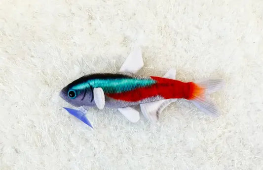 GreenPleco Neon Tetra Night Plush – glowing blue and red neon tetra fish plush toy for aquarium lovers