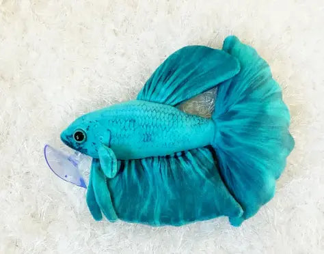 GreenPleco Betta Akua Plush – Colorful Betta Fish Collectible Toy made from eco-friendly materials, soft and detailed design by GreenPleco
