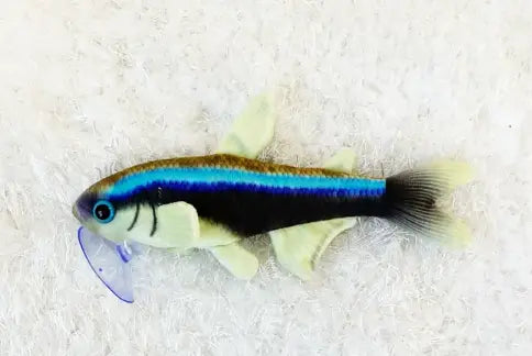 GreenPleco Neon Emperor Tetra Azure Plush – Blue Neon Tetra collectible stuffed toy with realistic details and eco-friendly materials