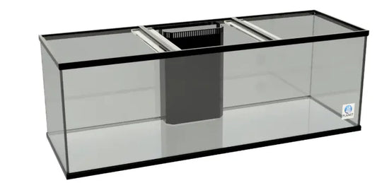 Planet Aquariums 72 inch 280 gallon premium large glass aquarium fish tank
