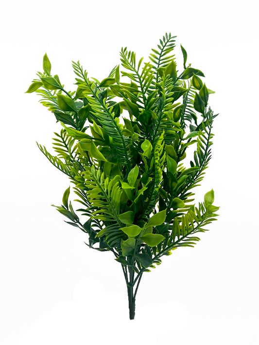 14" Boxwood Fern