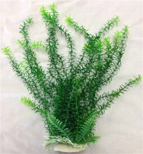 AQUATOP VERA-LIFE DECOR Anacharis 12” Green