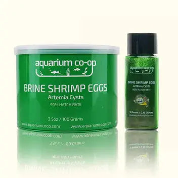 Aquarium Co-Op Brine Shrimp Eggs container for hatching live baby brine shrimp to feed fry and small aquarium fish.