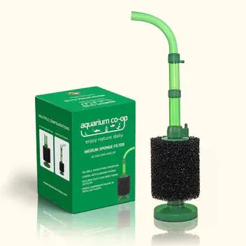 Aquarium Co-Op small coarse green sponge filter providing gentle air-driven filtration in a freshwater aquarium