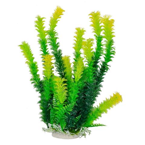 Green Plant, Light Yellow Tips 12"